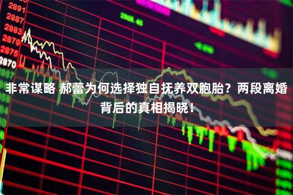 非常谋略 郝蕾为何选择独自抚养双胞胎？两段离婚背后的真相揭晓！