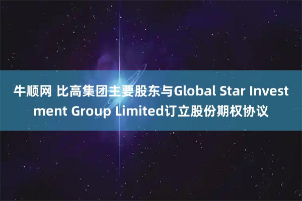 牛顺网 比高集团主要股东与Global Star Investment Group Limited订立股份期权协议